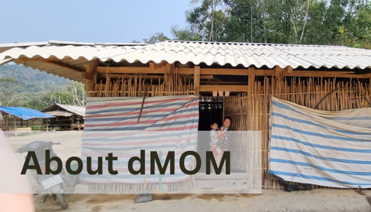 About dMOM